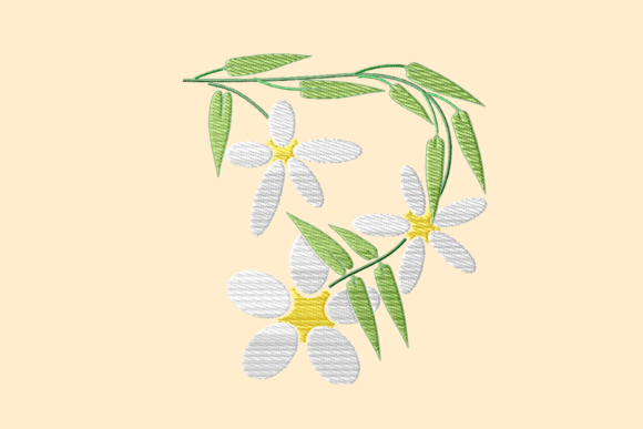 Jasmine Summer: A Designer's Review for Business